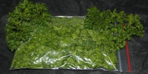 Da li je moguće zamrznuti peršun za zimu